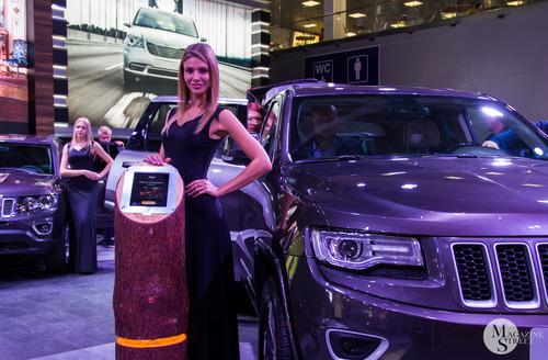 Девушки Московского Международного Автомобильного Салона 2014 MMAC Москва / Girls Of The Moscow International Automobile Salon 2014 MIAS`14 Moscow, кадр 13